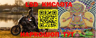 крисы Кулебаки