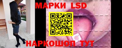 крисы Кулебаки