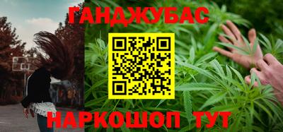 крисы Кулебаки