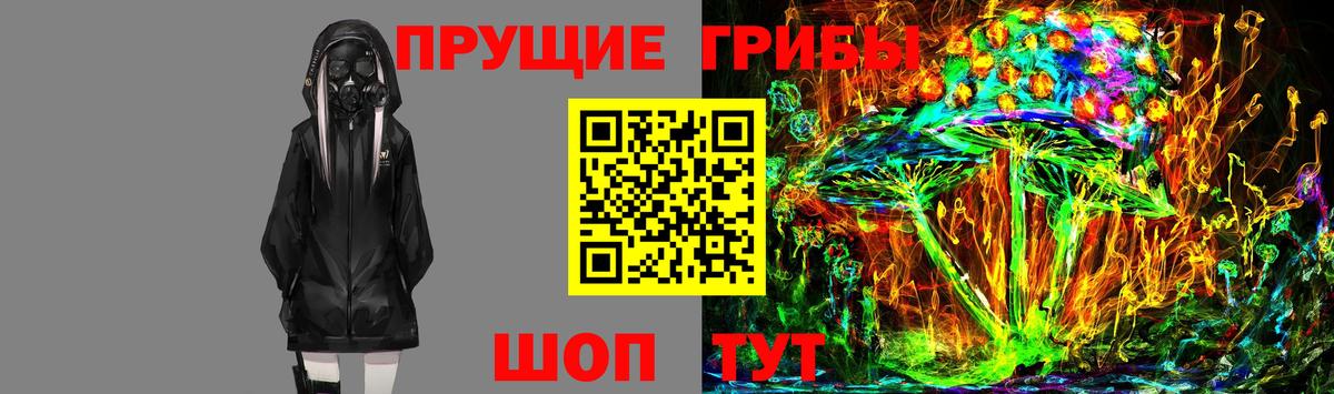Галлюциногенные грибы мухоморы Гай