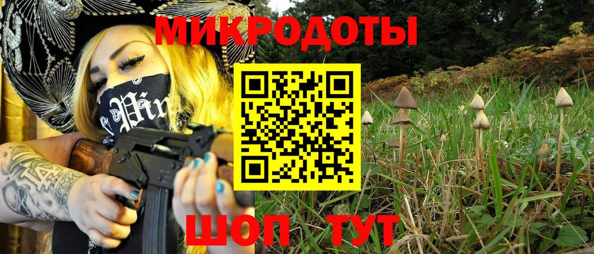 Галлюциногенные грибы MAGIC MUSHROOMS  Псилоцибиновые грибы Psilocybe  Гай  Вход с VPN 